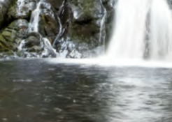 Plodda Falls