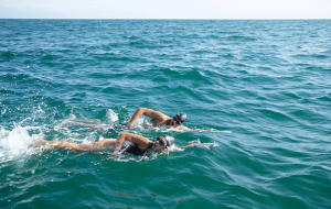 Two swimmers in the ocean